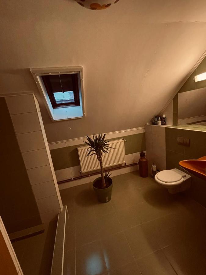 Casa Verde Foeni المظهر الخارجي الصورة